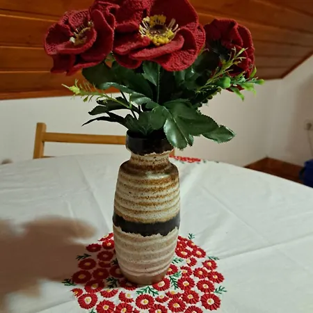 Pasztor Family Vendeghaz *